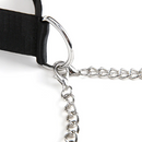 LUX FETISH COLLAR & NIPPLE CLAMPS