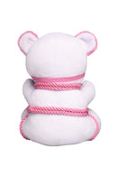 MASTER SERIES BRAT BDSM BEAR