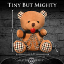 MOUTH PROPGED TEDDY