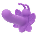 FIRST TIME VENUS BUTTERFLY PURPLE
