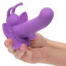 FIRST TIME VENUS BUTTERFLY PURPLE