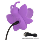 FIRST TIME VENUS BUTTERFLY PURPLE