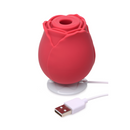 BLOOMGASM ROSE HEART BOX RED