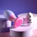 PARADISE PLUG & REMOTE