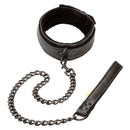BOUNDLESS COLLAR & LEASH